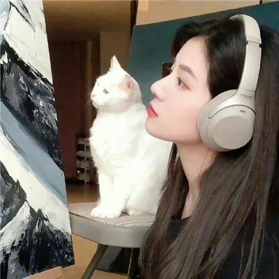 诺娃队长