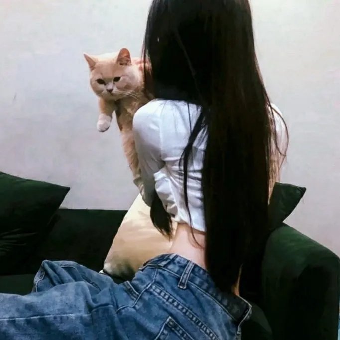 灰姑娘职场记